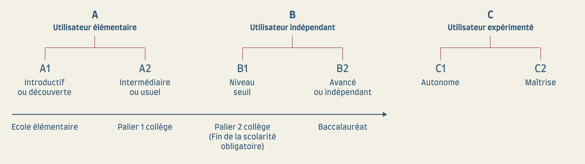 Raizes, cours de portugais du Brésil pour entreprises